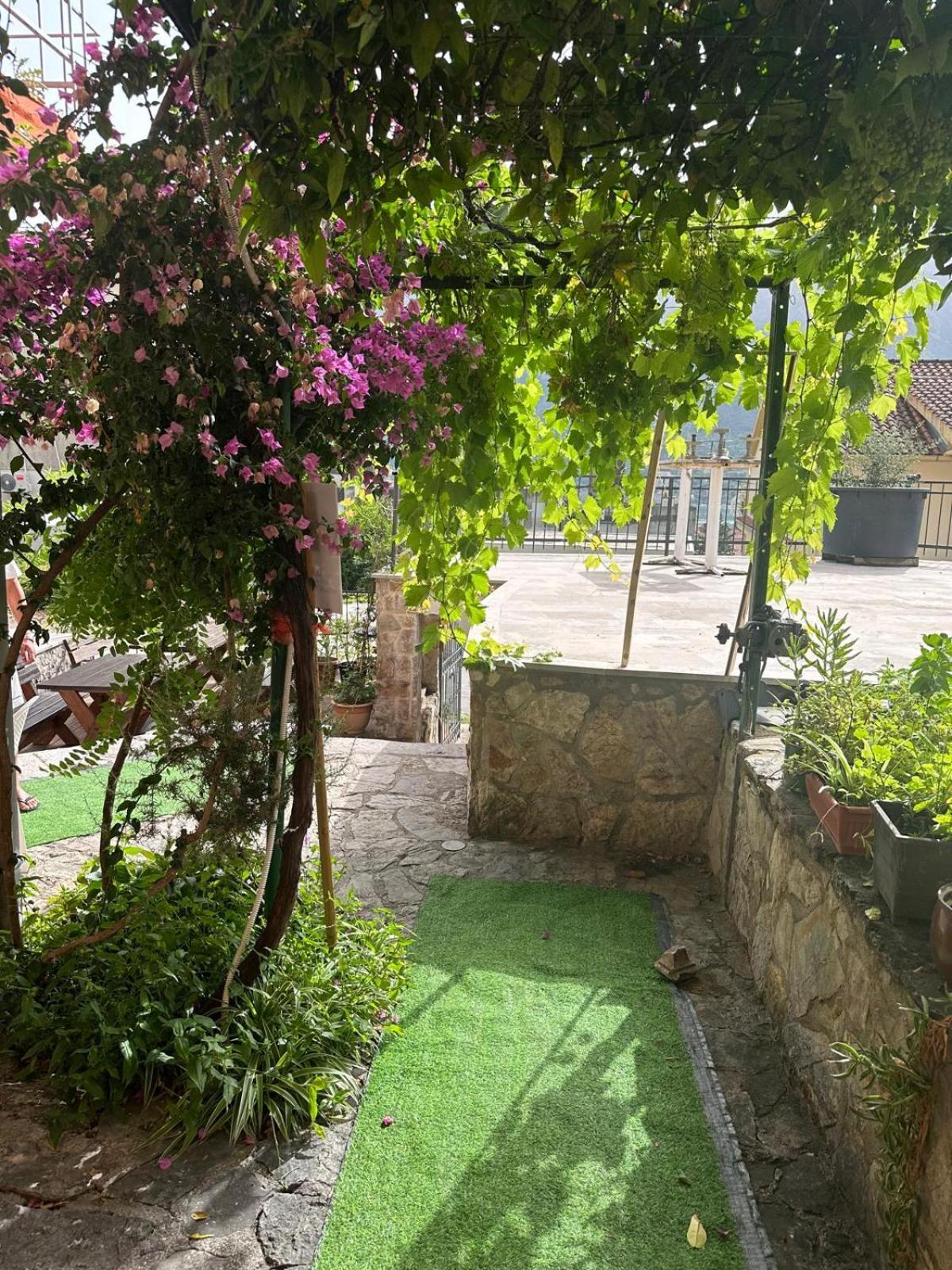 Themis Apart Hotel Kotor Exterior foto